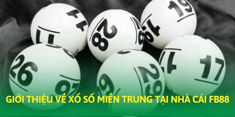 Vài nét đặc sắc của loại hình xổ số này tại nhà cái