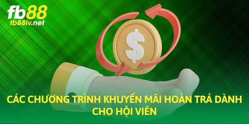 Các chương trình khuyến mãi hoàn trả dành cho hội viên