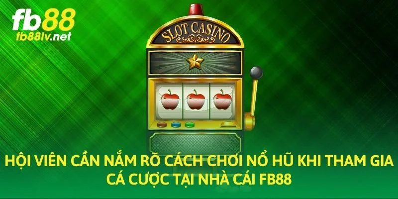 Hội viên cần nắm rõ cách chơi nổ hũ khi tham gia cá cược tại nhà cái FB88