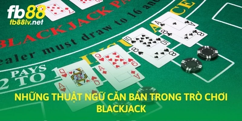Những thuật ngữ căn bản trong trò chơi blackjack