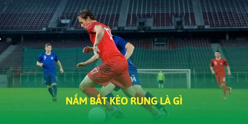 Nắm bắt kèo rung là gì